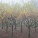 image: Image from the photoset &lsquo;esch/uelzecht (xlviii)&rsquo;.