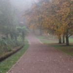 image: Image from the photoset &lsquo;esch/uelzecht (xlviii)&rsquo;.