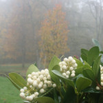 image: Image from the photoset &lsquo;esch/uelzecht (xlviii)&rsquo;.