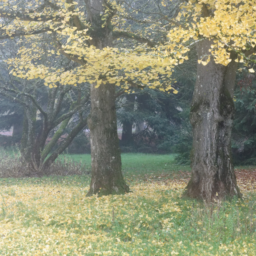 image: This is &lsquo;esch/uelzecht (il) 2&rsquo;.