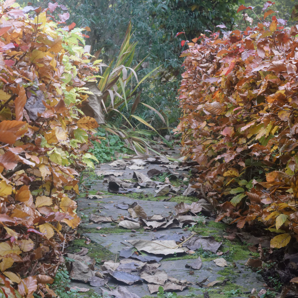 image: This is &lsquo;esch/uelzecht (il) 3&rsquo;.