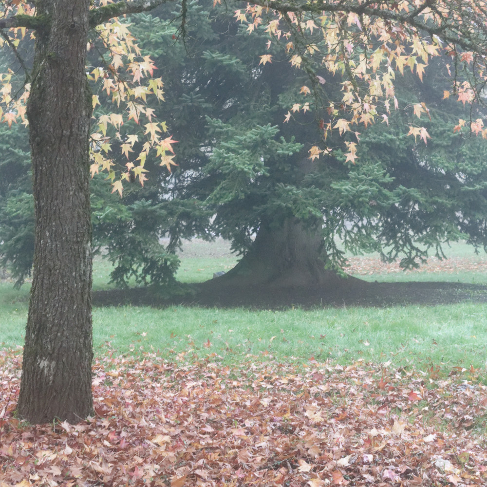 image: This is &lsquo;esch/uelzecht (il) 4&rsquo;.