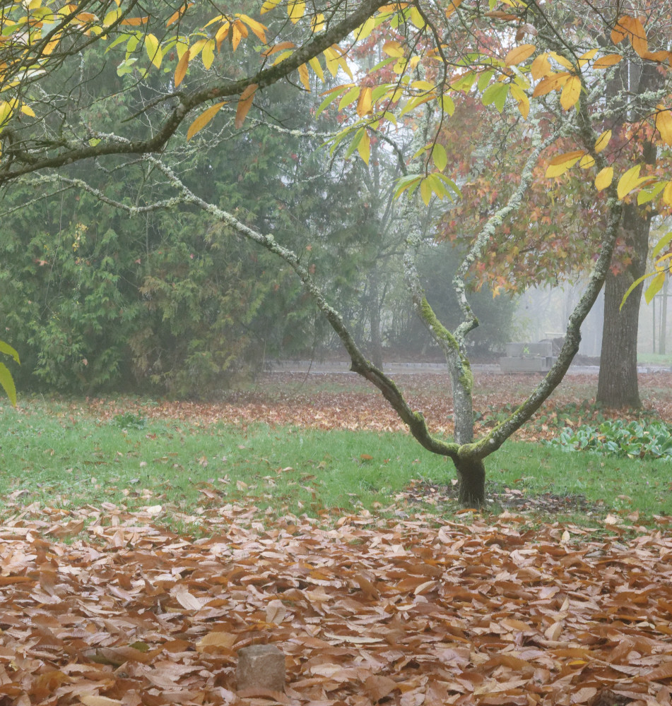 image: This is &lsquo;esch/uelzecht (il) 5&rsquo;.