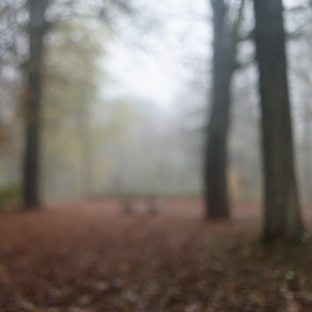 image: This is &lsquo;esch/uelzecht (il) 9&rsquo;.