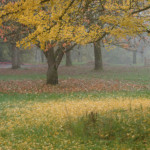 image: Image from the photoset &lsquo;esch/uelzecht (il)&rsquo;.