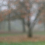 image: Image from the photoset &lsquo;esch/uelzecht (il)&rsquo;.