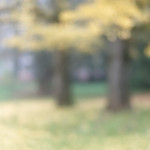 image: Image from the photoset &lsquo;esch/uelzecht (il)&rsquo;.