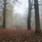 image: Image from the photoset &lsquo;esch/uelzecht (il)&rsquo;.