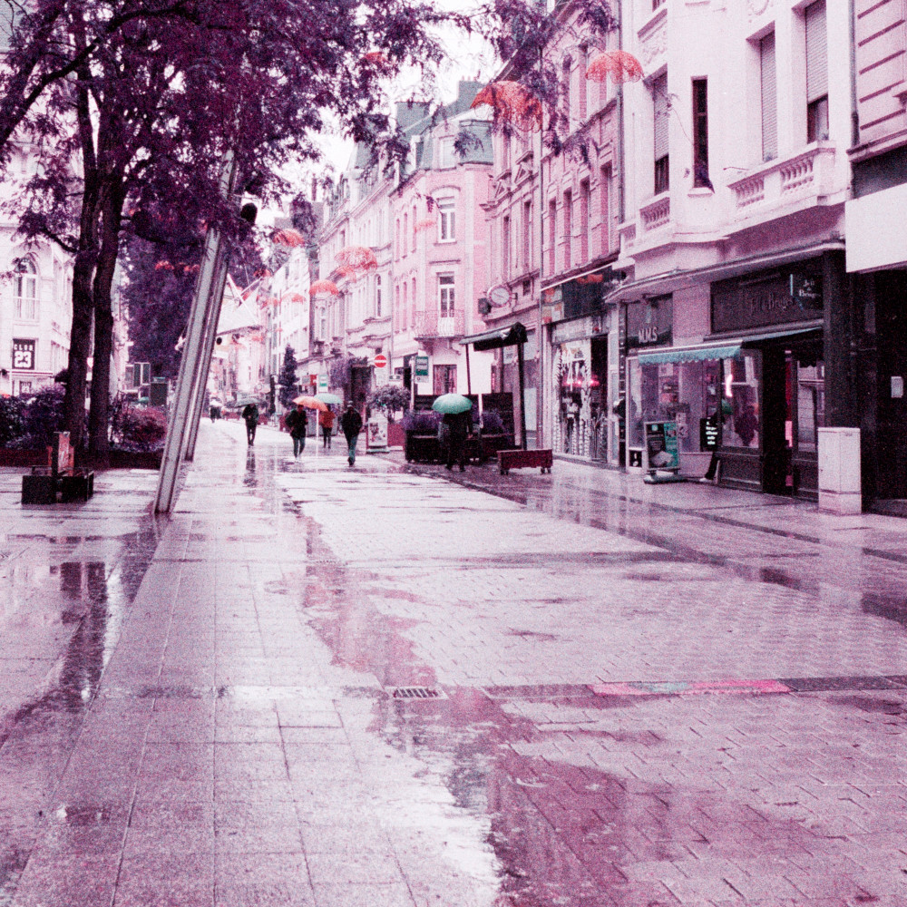 image: This is &lsquo;esch/uelzecht (l) 2&rsquo;.