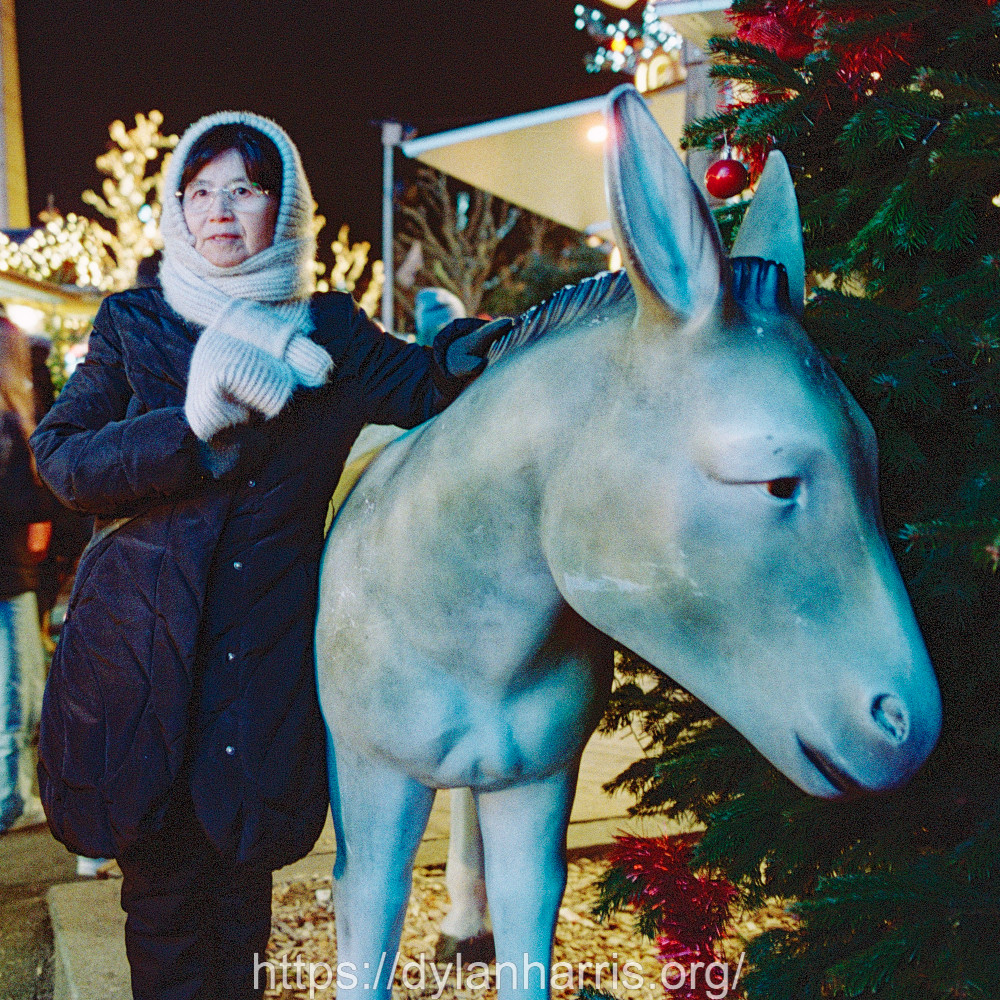 image: This is &lsquo;L (l) 1&rsquo;.