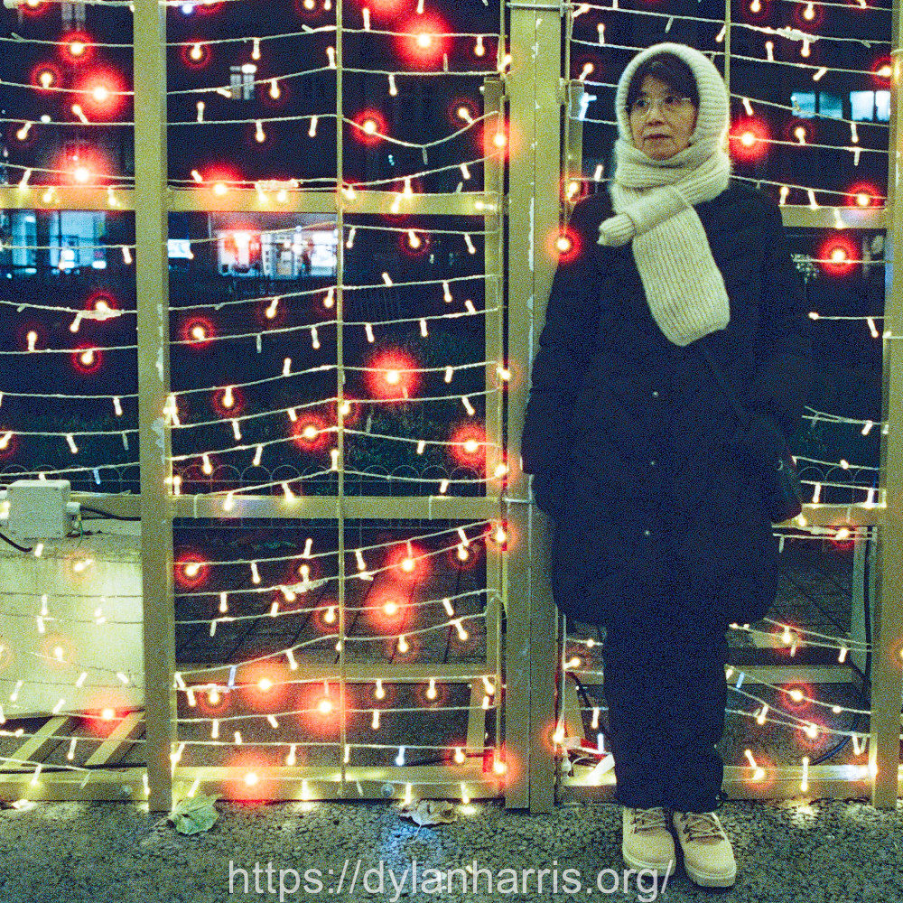 image: This is &lsquo;L (l) 2&rsquo;.