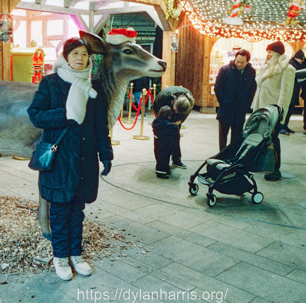 image: This is &lsquo;L (l) 4&rsquo;.