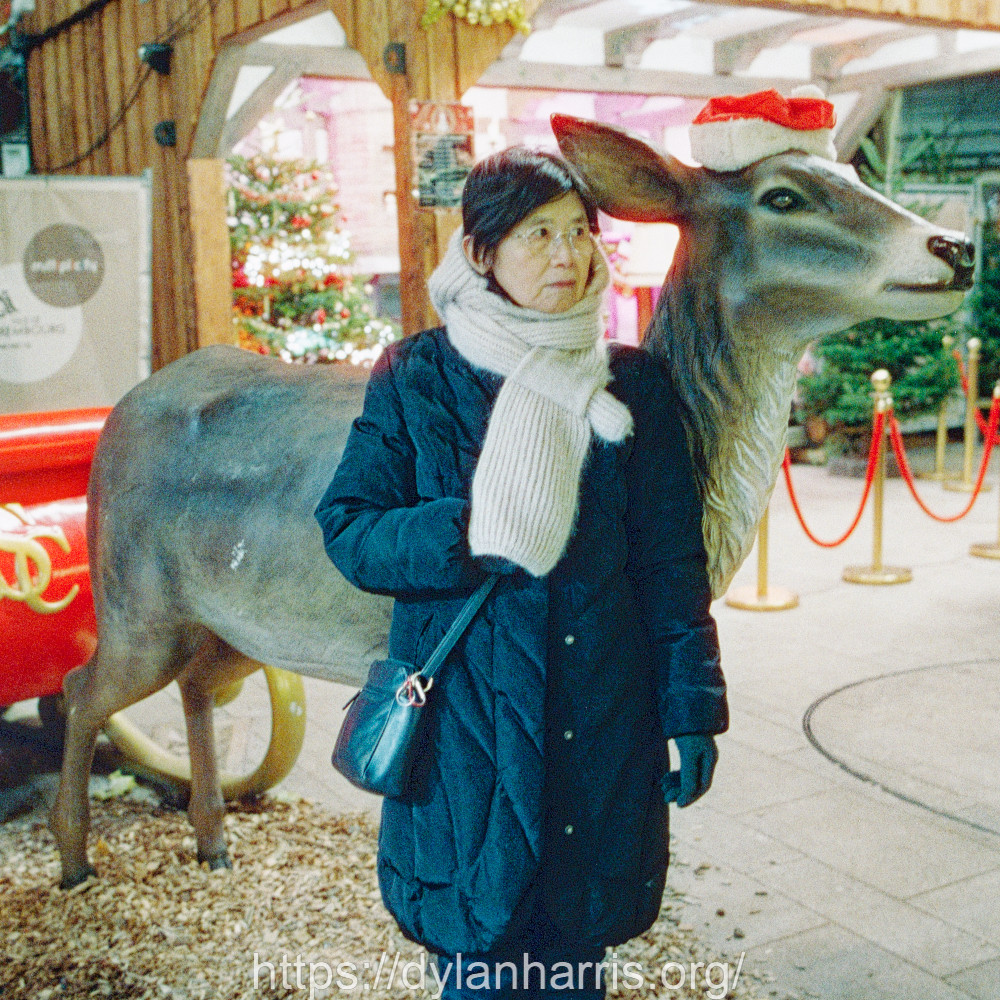 image: This is &lsquo;L (l) 5&rsquo;.