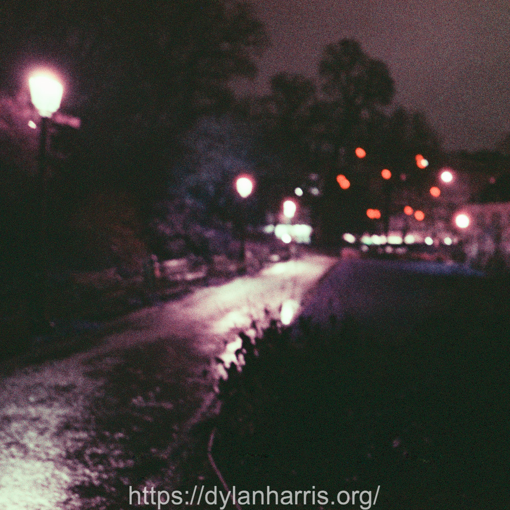 image: This is &lsquo;christmas lights (i) 2&rsquo;.