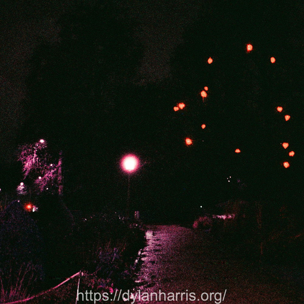 image: This is &lsquo;christmas lights (i) 3&rsquo;.