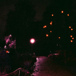 image: Image from the photoset &lsquo;christmas lights (i)&rsquo;.