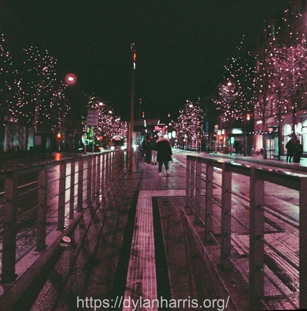 image: This is &lsquo;christmas lights (ii) 1&rsquo;.