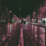 image: Image from the photoset &lsquo;christmas lights (ii)&rsquo;.