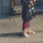 image: Image from the photoset &lsquo;esch/uelzecht (liv)&rsquo;.