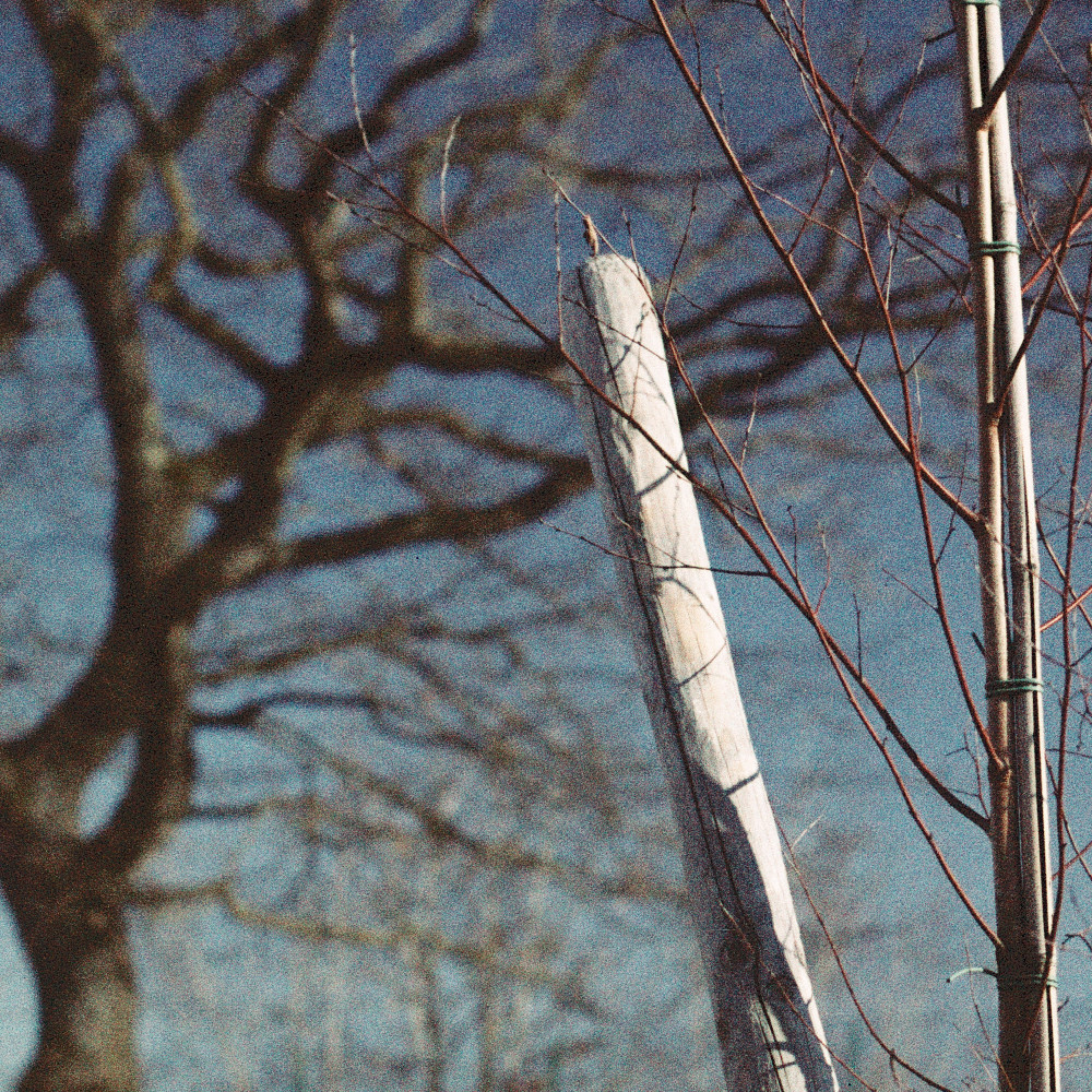 image: This is &lsquo;esch/uelzecht (lviii) 3&rsquo;.