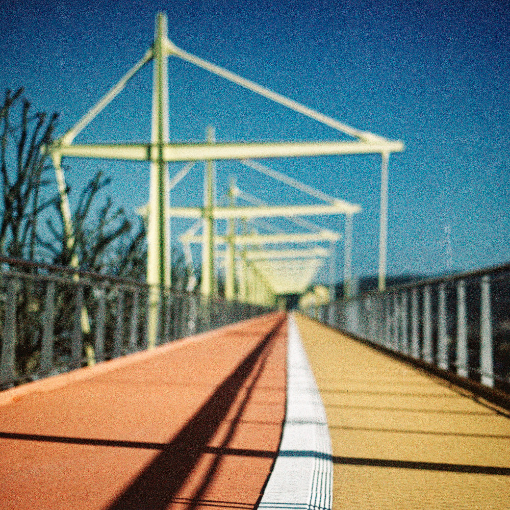 image: This is &lsquo;esch/uelzecht (lviii) 6&rsquo;.