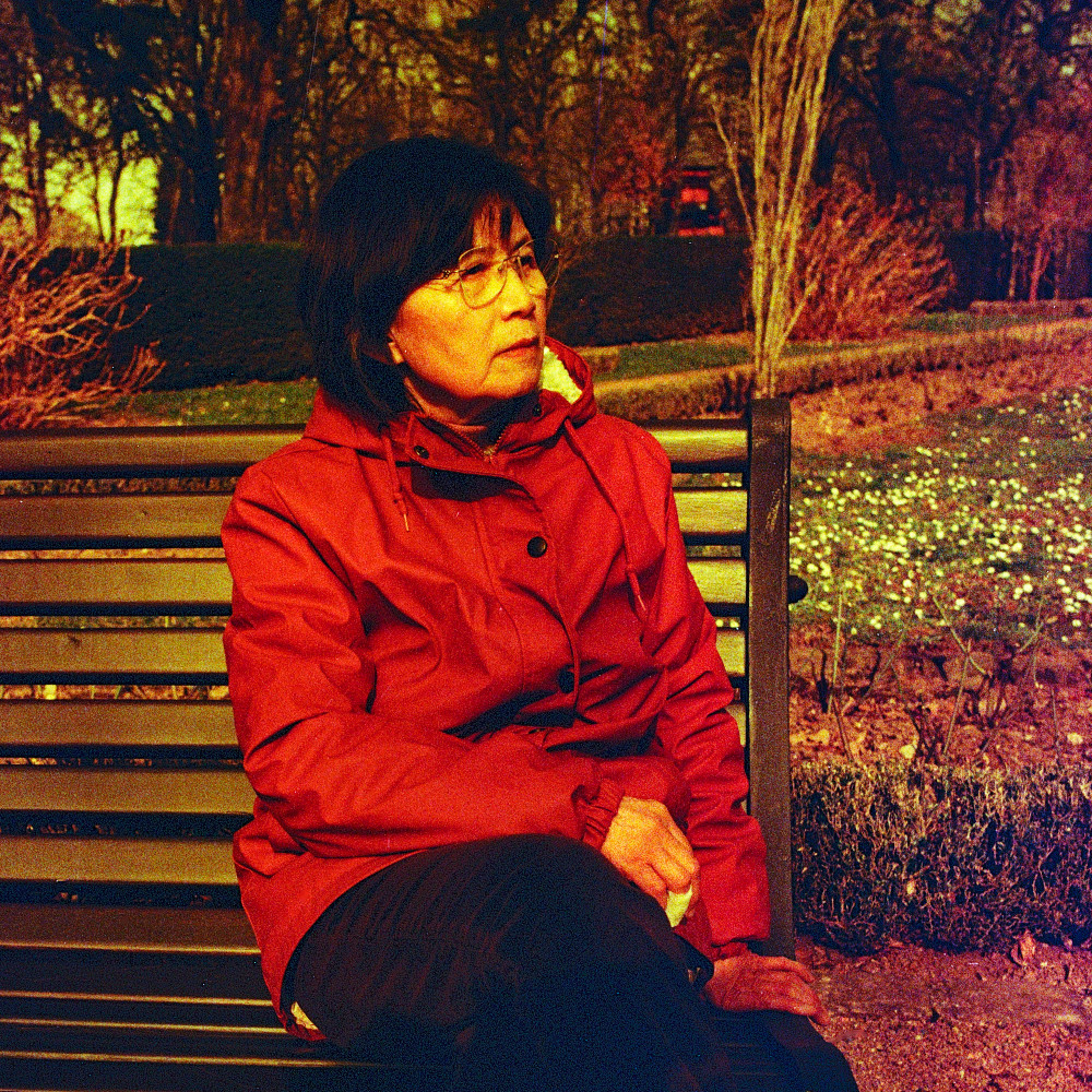 image: This is &lsquo;L (li) 3&rsquo;.