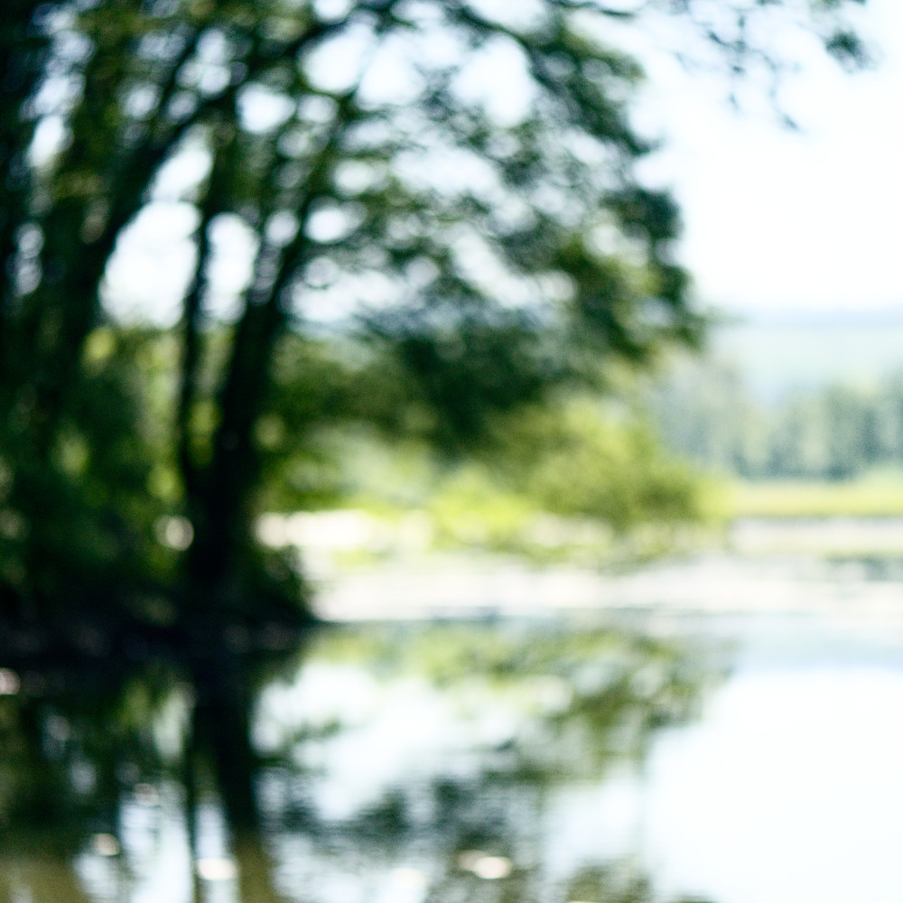 image: This is &lsquo;echternach (i) 3&rsquo;.