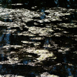 image: Image from the photoset &lsquo;echternach (i)&rsquo;.