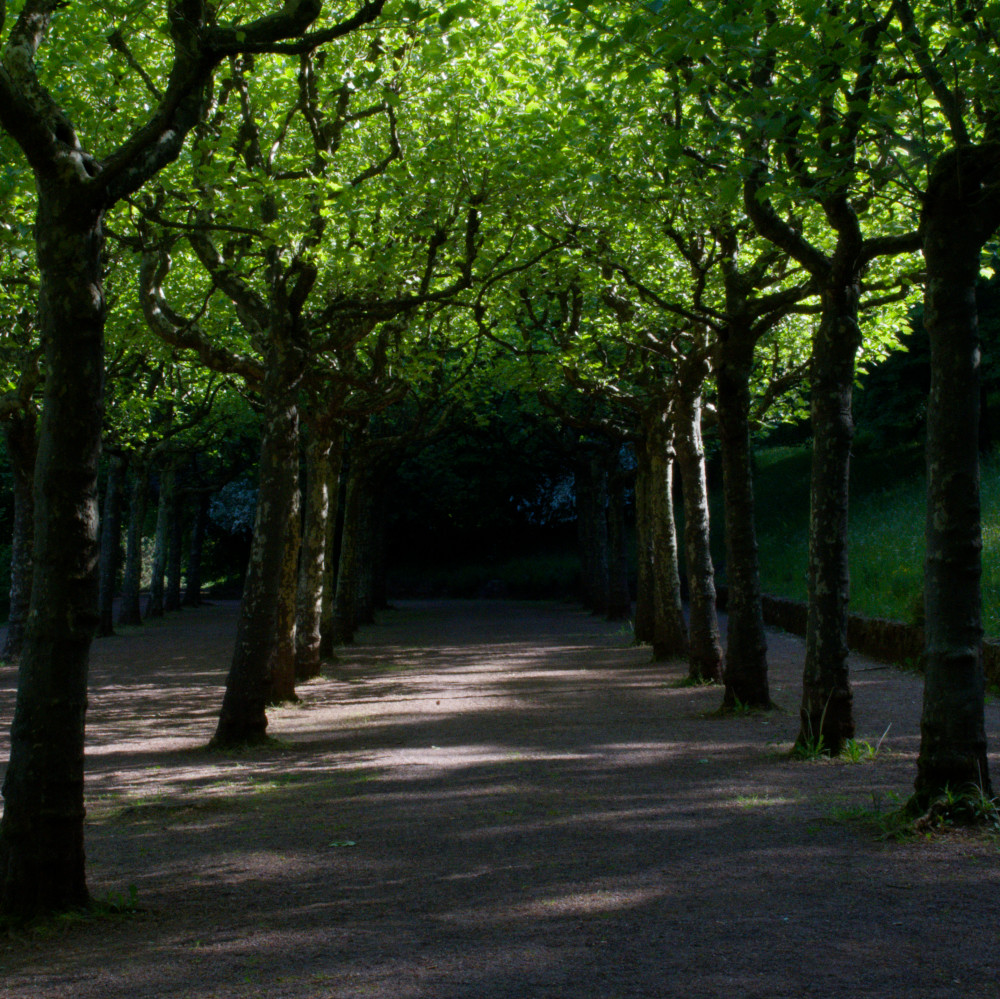 image: This is &lsquo;esch/uelzecht (lix) 1&rsquo;.