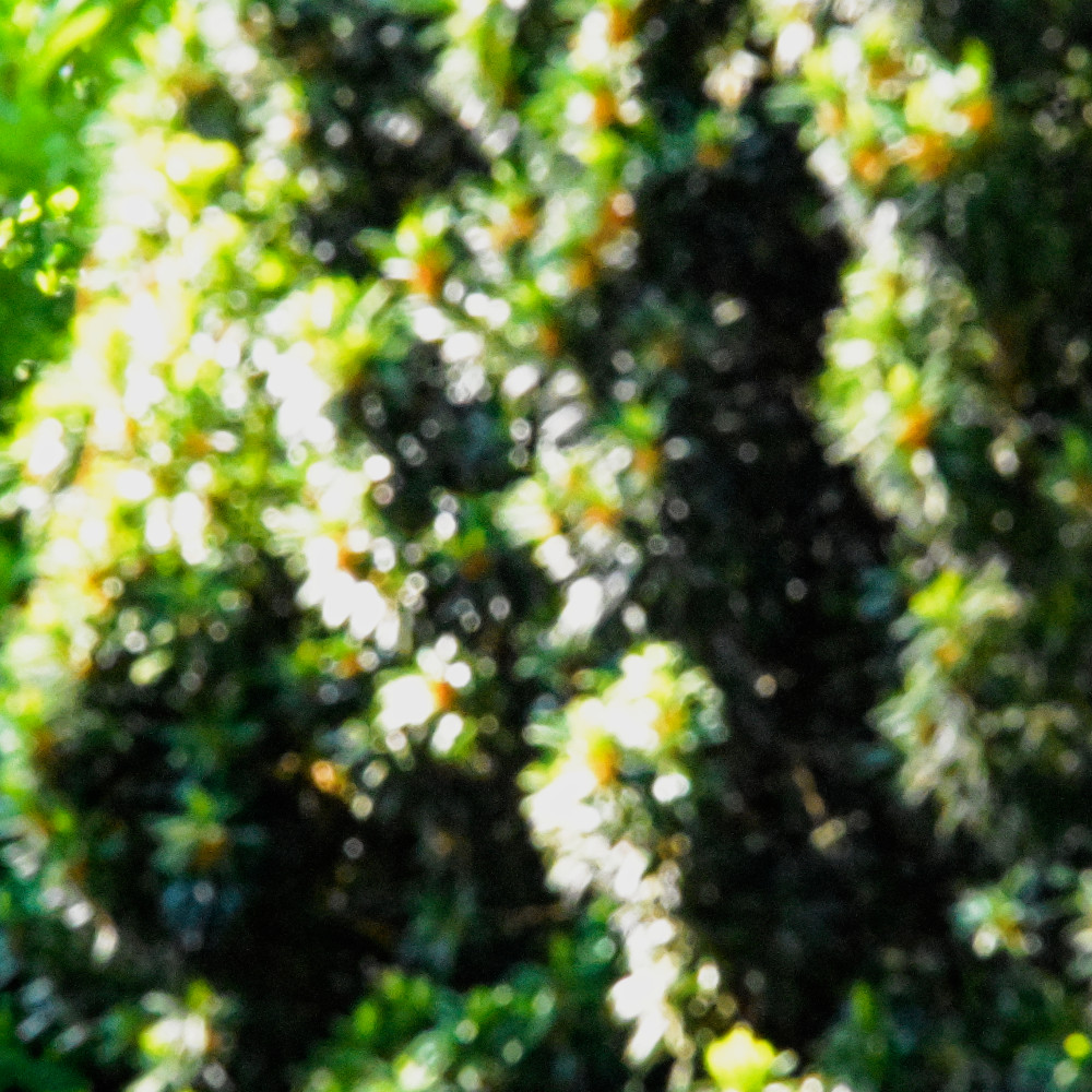 image: This is &lsquo;esch/uelzecht (lix) 2&rsquo;.