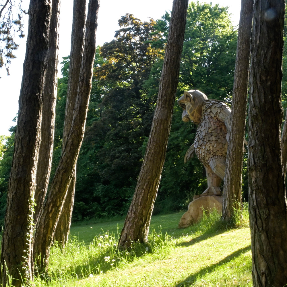 image: escher gaalgebierg