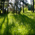 image: esch (lix) photoset