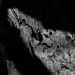 image: Image from the photoset &lsquo;belval (i)&rsquo;.