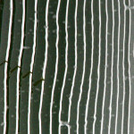 image: Image from the photoset &lsquo;belval (i)&rsquo;.