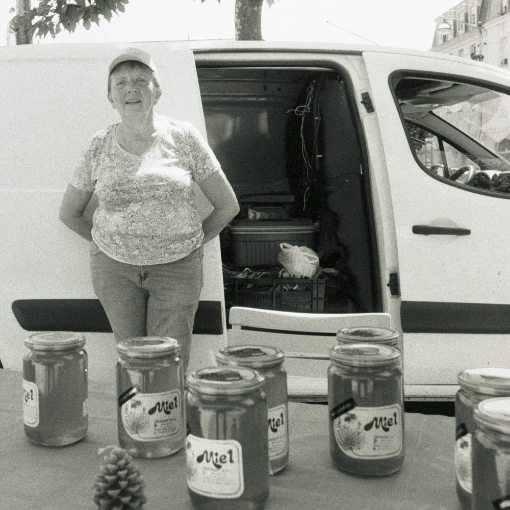 image: This is &lsquo;brocante (liii) 2&rsquo;.