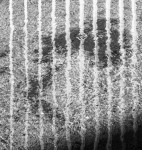 image: Image from the photoset &lsquo;belval (vi)&rsquo;.