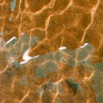 image: Image from the photoset &lsquo;belval (viii)&rsquo;.