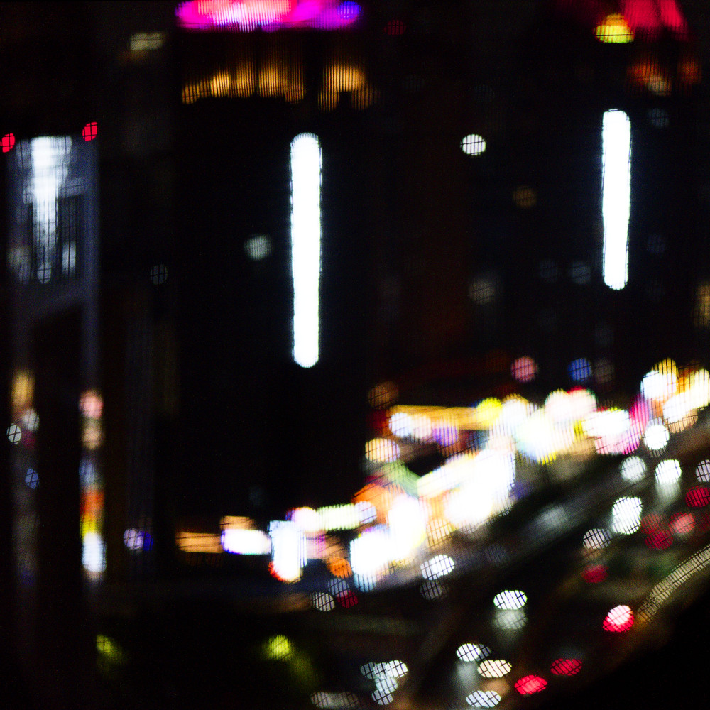 image: This is &lsquo;zhengzhou 4&rsquo;.