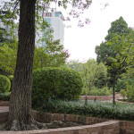 image: Image from the photoset &lsquo;zhengzhou&rsquo;.