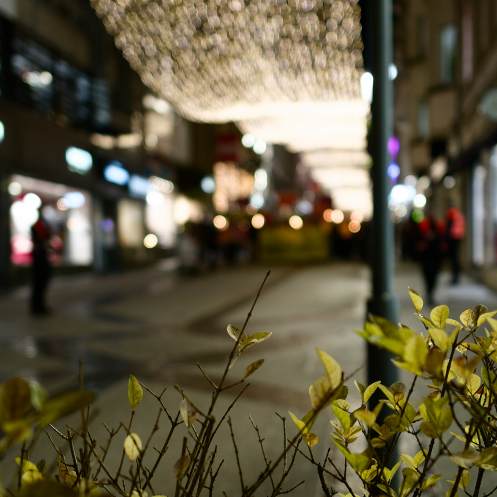 image: This is &lsquo;amnesty international (ii) 2&rsquo;.