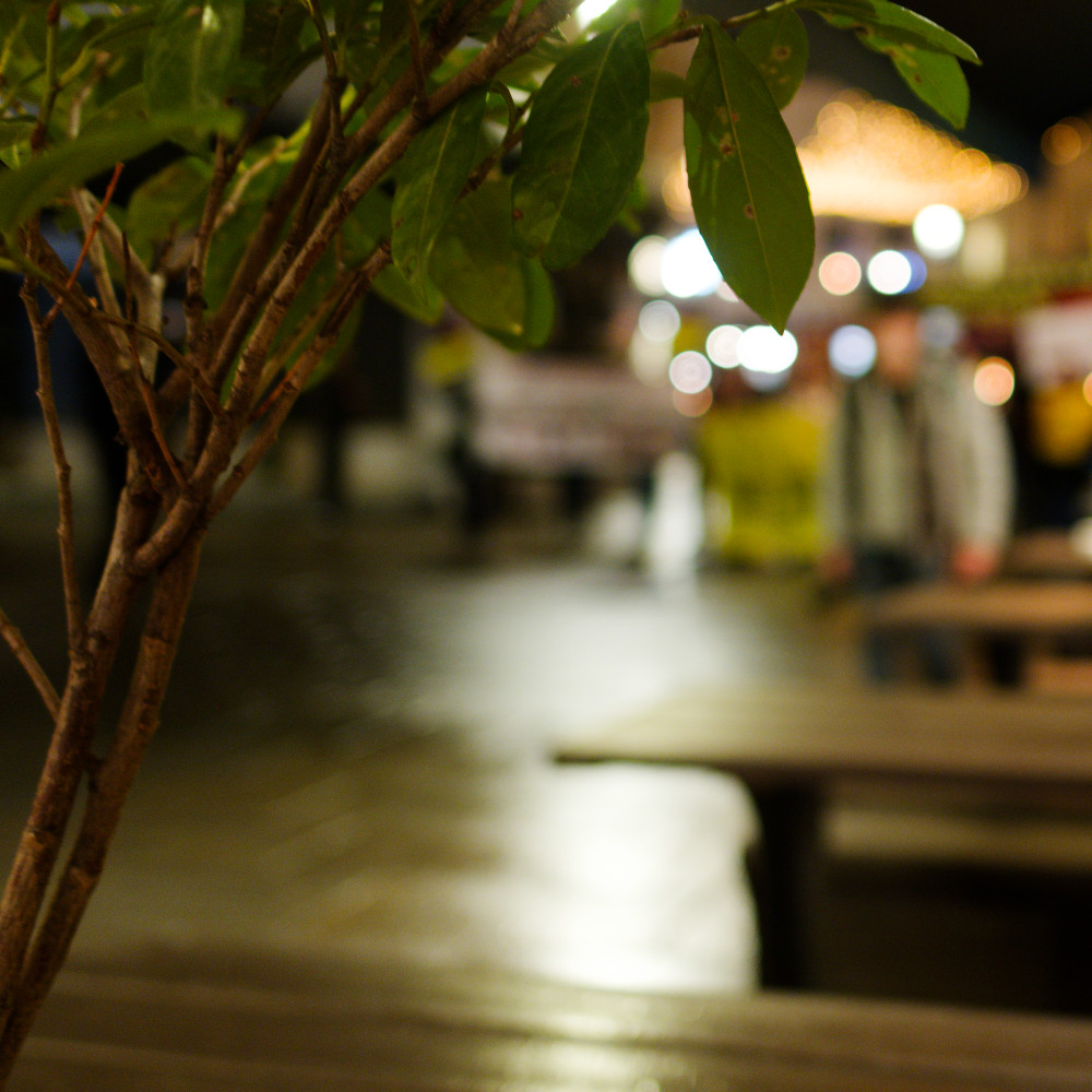 image: This is &lsquo;amnesty international (ii) 6&rsquo;.