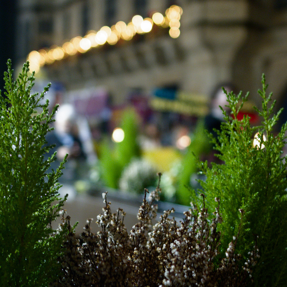 image: This is &lsquo;amnesty international (ii) 7&rsquo;.