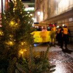 image: Image from the photoset &lsquo;amnesty international (ii)&rsquo;.