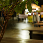 image: Image from the photoset &lsquo;amnesty international (ii)&rsquo;.