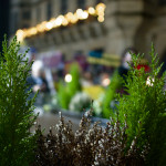 image: Image from the photoset &lsquo;amnesty international (ii)&rsquo;.