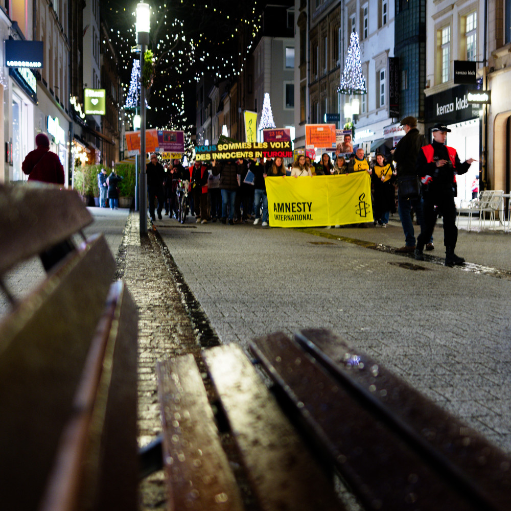 image: This is &lsquo;amnesty international (iv) 5&rsquo;.