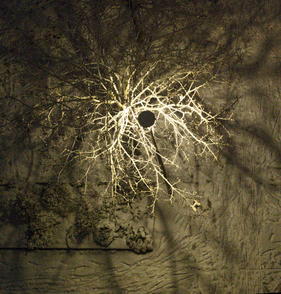 image: This is &lsquo;paris (xxiv) 6&rsquo;.