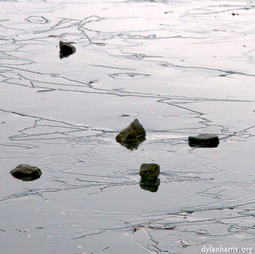 Image 'stanwick (i) 1'.