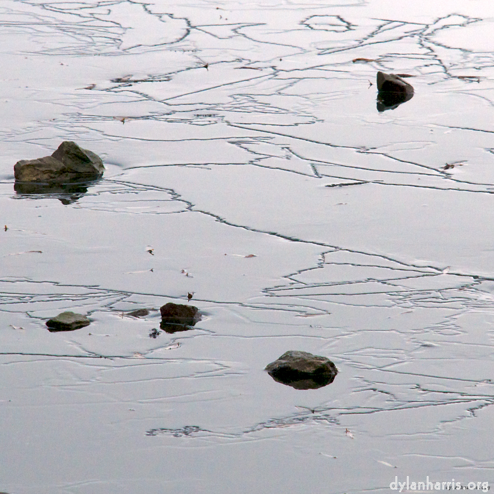 Image: Image 'stanwick (i) 3'.