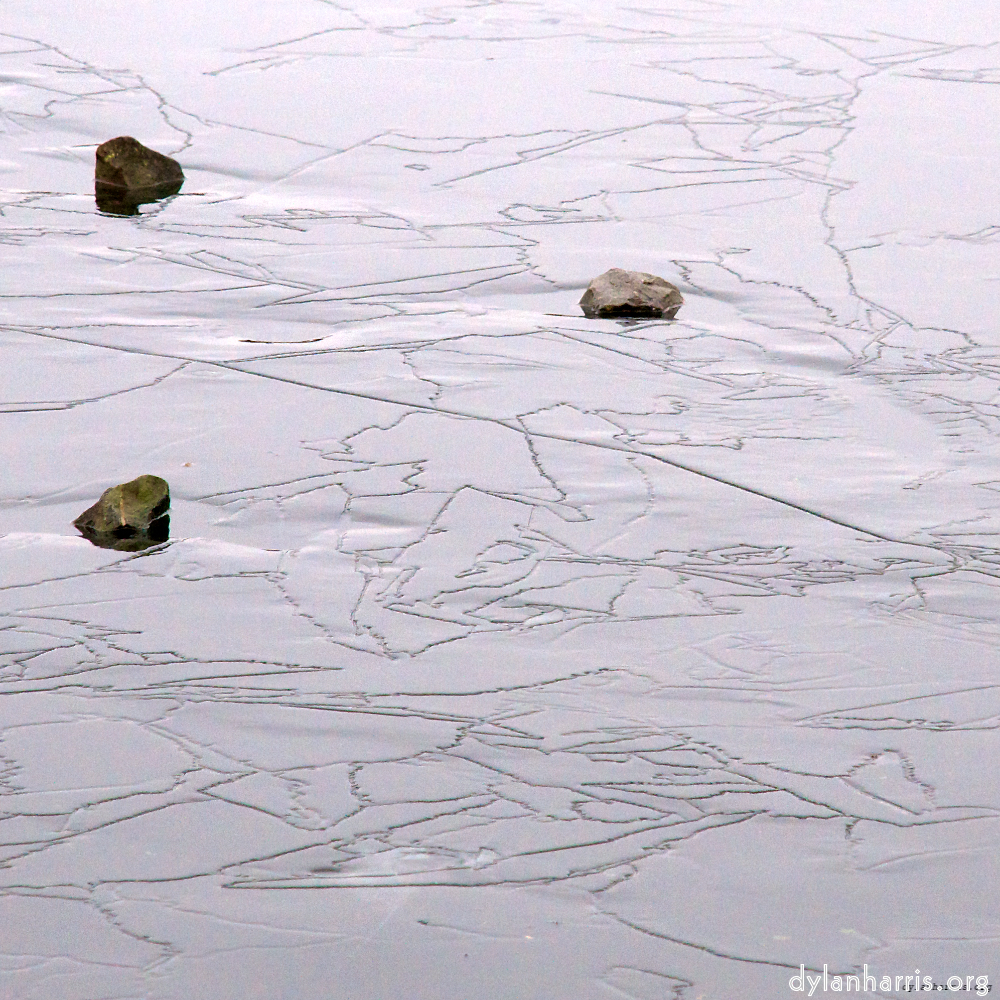 Image 'stanwick (i) 4'.